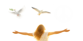 Freiheit, Frieden und Freude – vom Selbstverständlichen zum knappen Gut